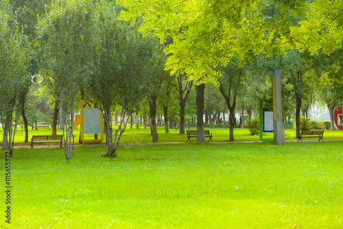 Forests, green spaces, grasslands, and chairs for visitors to rest in urban parks