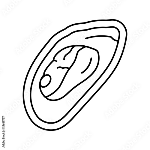 mollusks allergen free product food line icon vector. mollusks allergen free product food sign. isolated contour symbol black illustration
