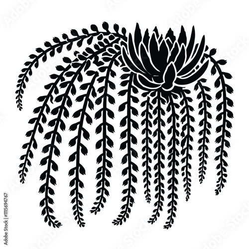 Burros Tail Silhouette