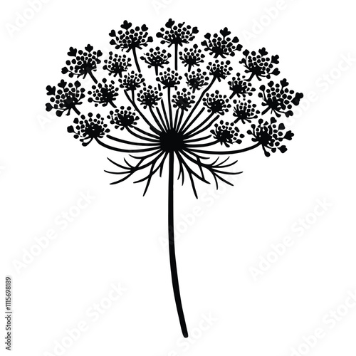 Queen Annes Lace Silhouette