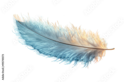 A feather with blue and orange colors