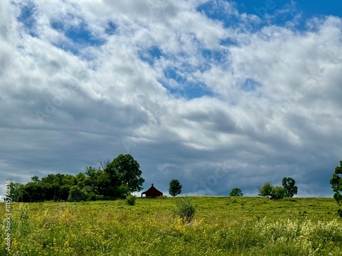 Little house in the meadow 