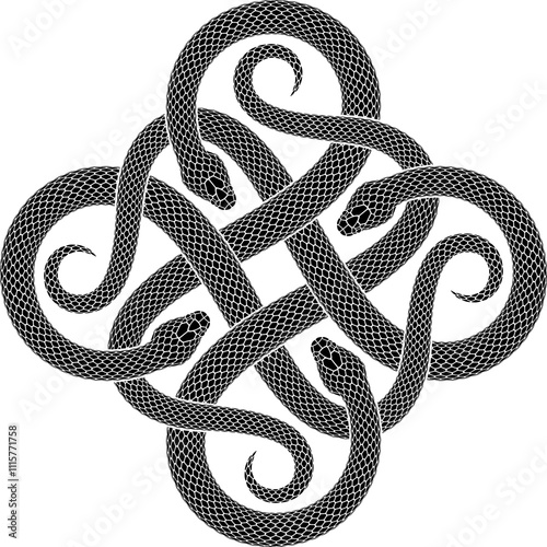 Vector tattoo design of four black snakes intertwined in form of cross symbol. Isolated black serpent silhouette in square shape.