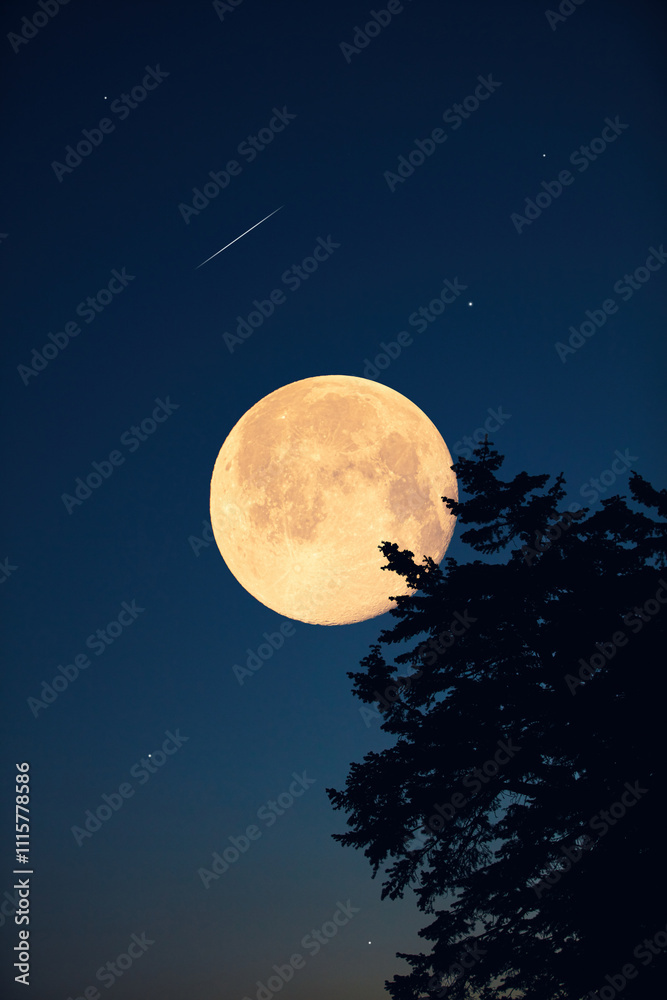 Fototapeta premium Full Moon, stars, planets and landscape scenery silhouettes.