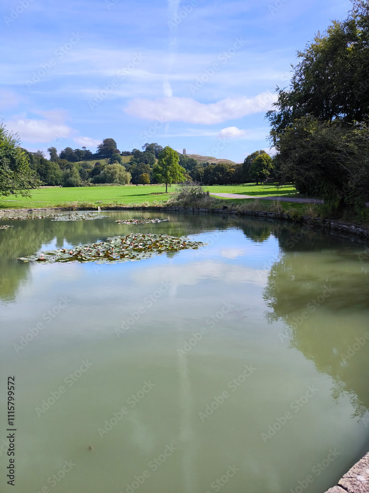 Lake with flowers
