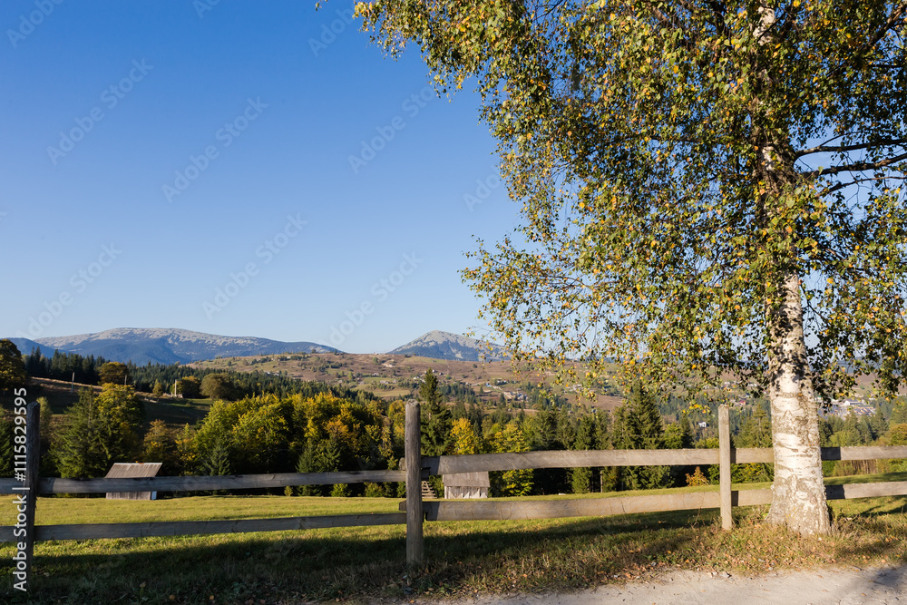 Mountain meadow fenced with wooden fence, old birch on foreground Mountain meadow fenced with wooden fence, old birch on foreground