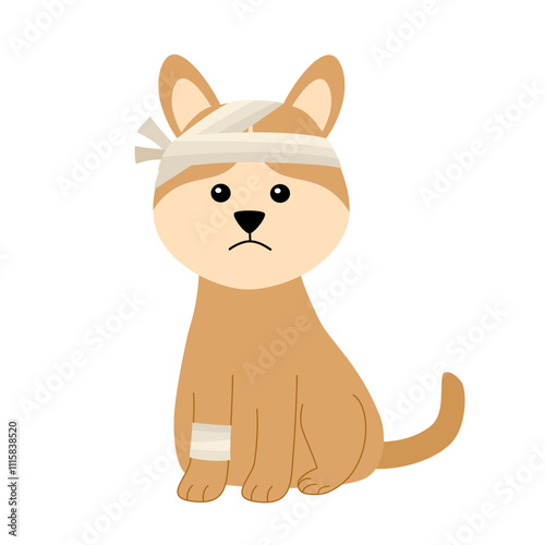 Dog with bandage on injured leg and head cartoon vector illustration