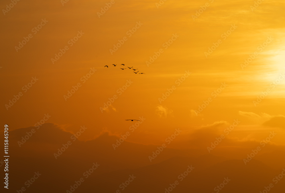 Naklejka premium sunrise with birds and clouds over the ocean