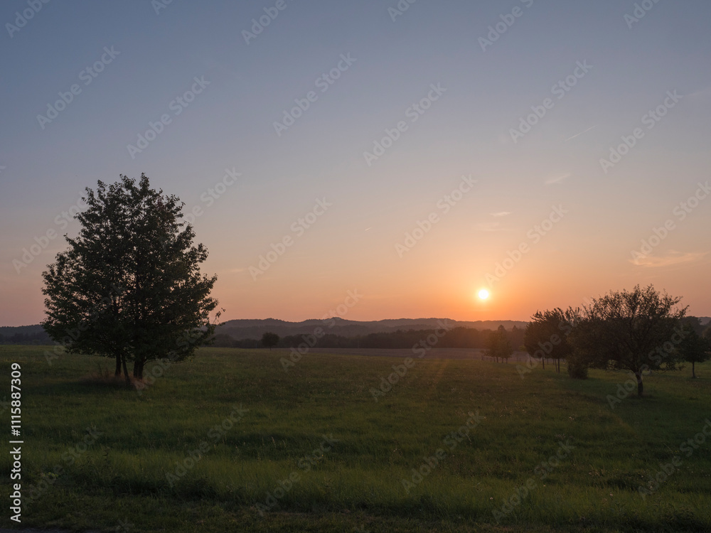 Fototapeta premium Orange sunset over green summer meadow and forest with alone cherry tree and deciduous tree alley, clear sky background, Countryside landscape, copy space, Kokorin region, central Bohemia