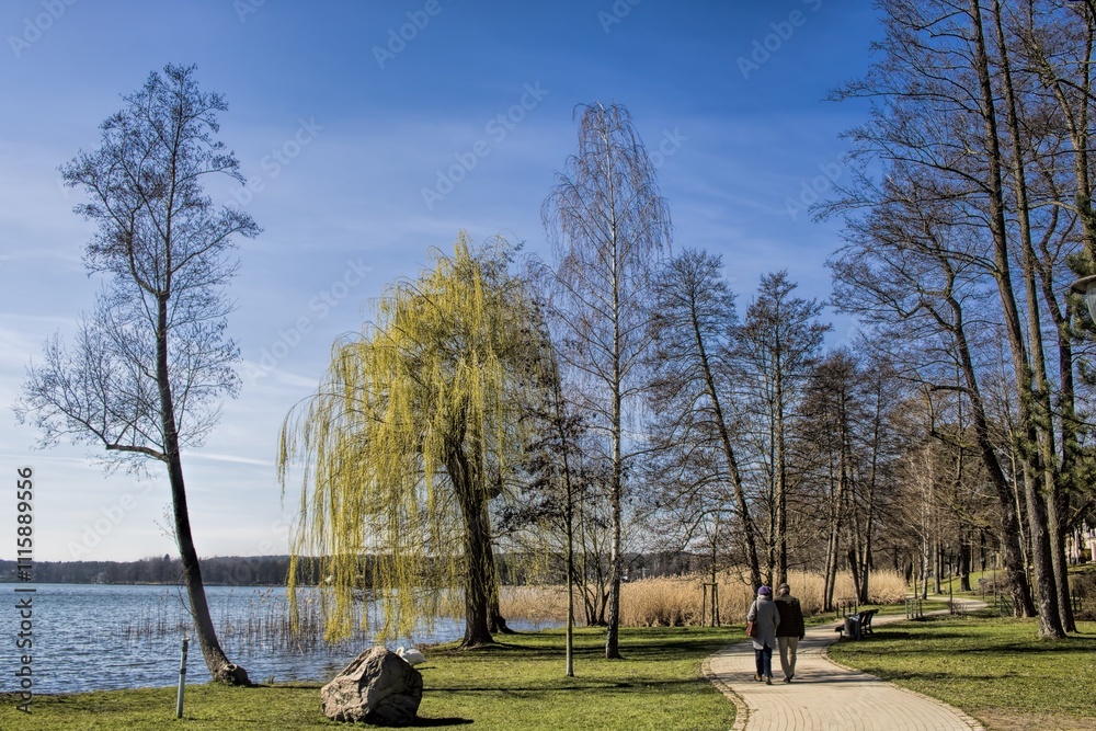 bad saarow, deutschland - idyllischer stadtpark am scharmützelsee