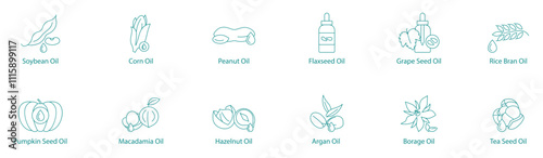 Essential Cooking and Health Oils Vector Icon Set: Soybean, Corn, Peanut, Flax, Grape, Rice Bran, Pumpkin, Macadamia, Hazelnut, Argan, Borage, Tea Seed