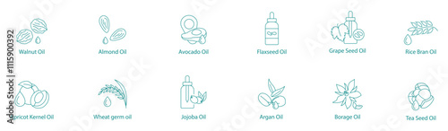 Essential Natural Oils Vector Icon Set: Walnut, Almond, Avocado, Flaxseed, Grape Seed, Rice Bran, Apricot Kernel, Wheat Germ, Jojoba, Argan, Borage, Tea Seed