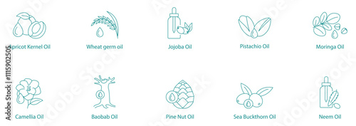 Exotic Plant Oils Vector Icon Set: Apricot Kernel, Wheat Germ, Jojoba, Pistachio, Moringa, Camellia, Baobab, Pine Nut, Sea Buckthorn, Neem