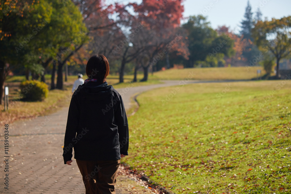 Fototapeta premium 冬の公園で散歩する一人の中年女性の後ろ姿