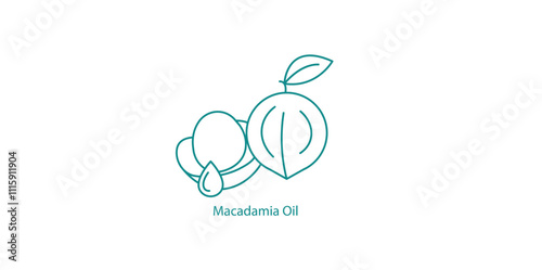 Macadamia Oil Gourmet Cooking Vector Icon