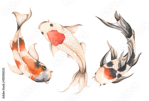 Set of Koi Fish, Watercolor illustration - Art for Chinese New Year.