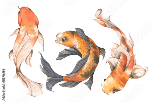 Set of Koi Fish, Watercolor illustration - Art for Chinese New Year.