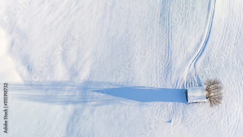 Minimalist Winter Landscape in Serene Countryside