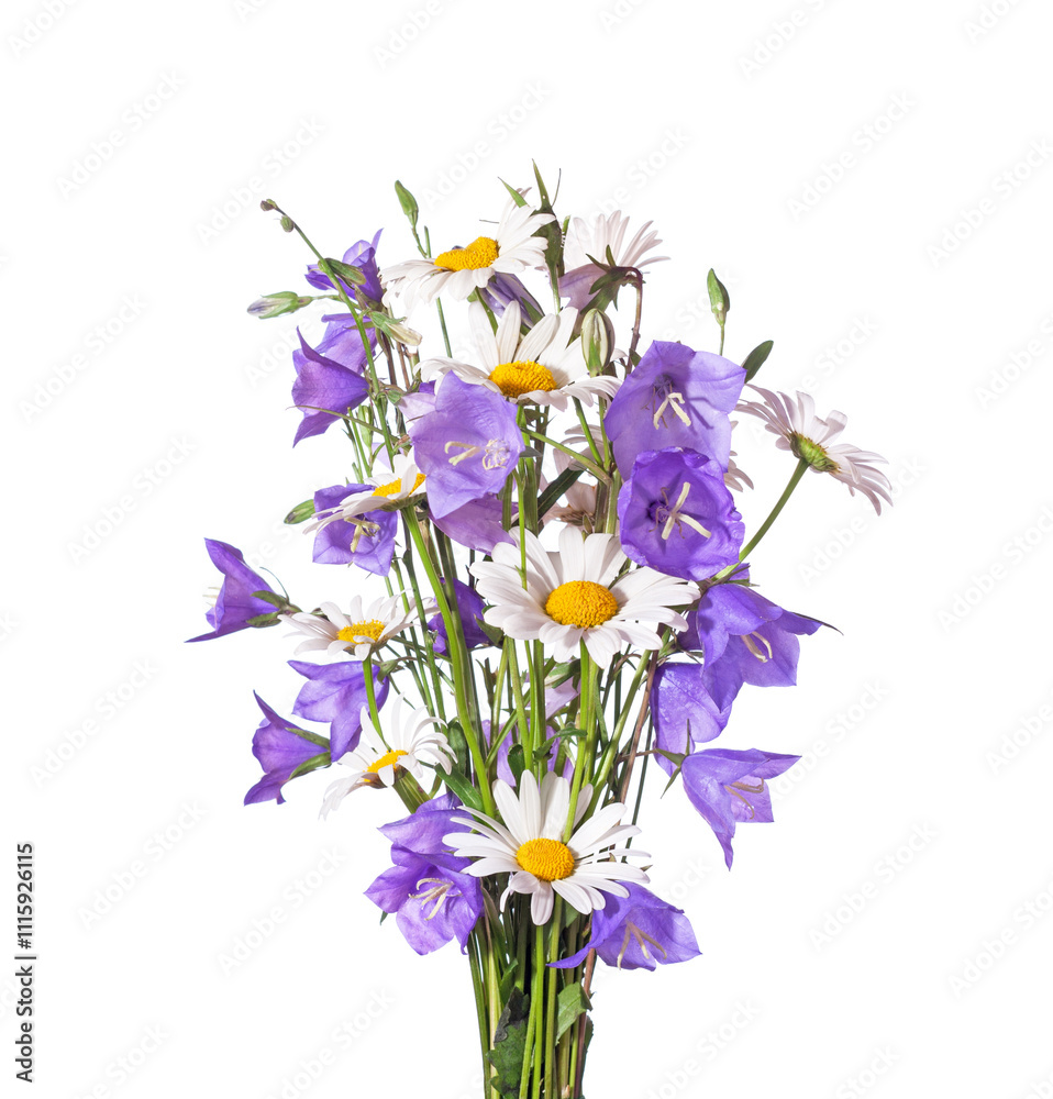 Bouquet of Chamomiles and bellflowers isolated on a white background.