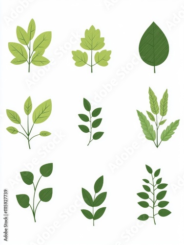 A collection of green leaf-themed digital illustrations for various uses such as labels, logos or decorative elements.