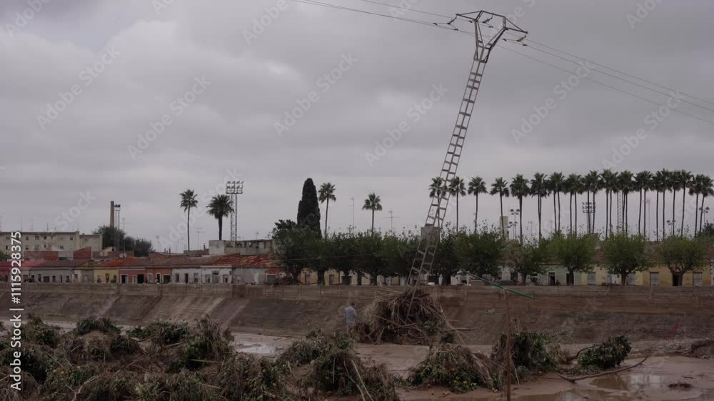 Destroyed landscape with trees and mud in the DANA of Valencia