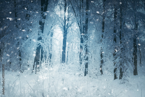 fantasy winter forest lands...
