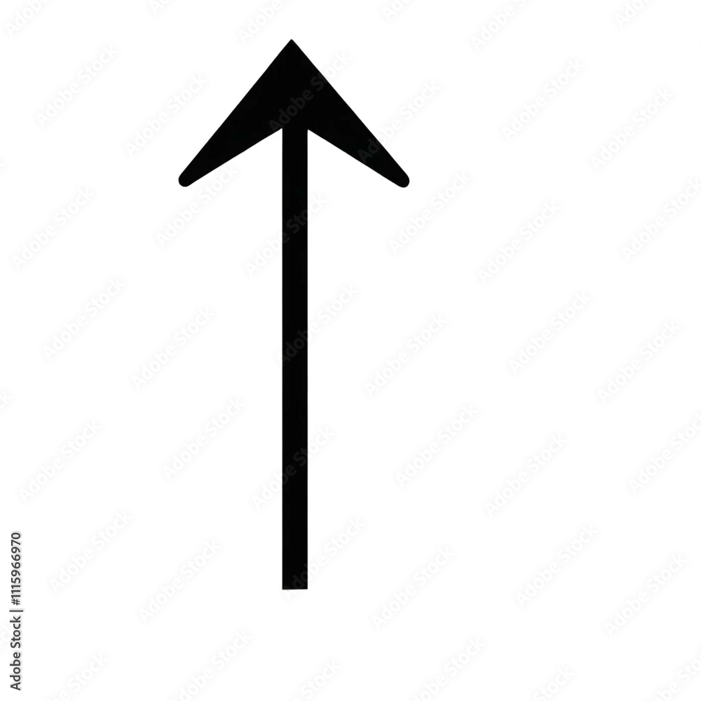 Fototapeta premium Black arrow on isolated background.