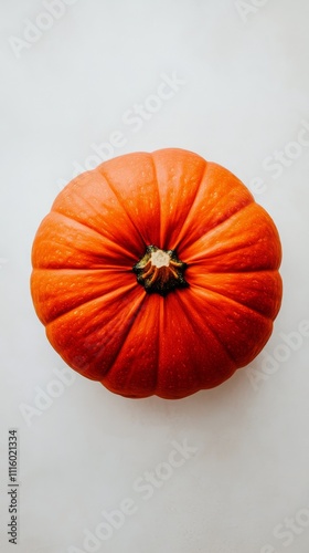 Bright orange pumpkin showcasing natural texture and details during autumn se...