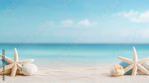 Calm tropical beach with seashells and starfish on white sand during a sunny day