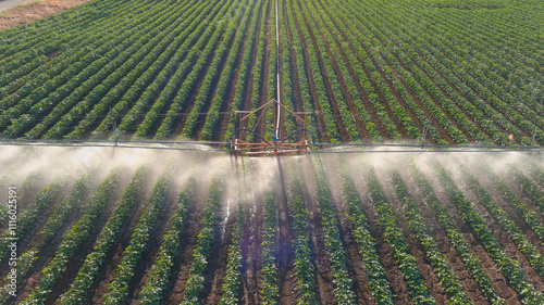 Irrigation system on the field.