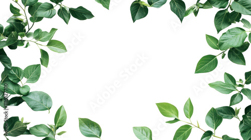 A border of lush green leaves framing a blank space, ideal for text or graphic overlays.