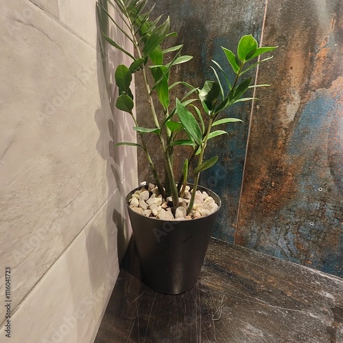 Obraz na płótnie plant on the wall w salonie