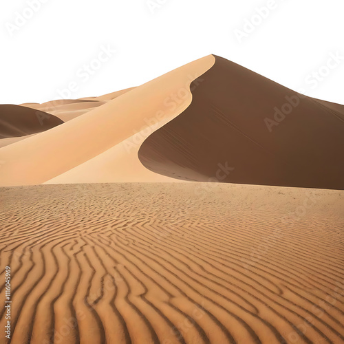Fototapeta Naklejka Na Ścianę i Meble -  A desert sand dune is isolated on white with texture and a white backgroundA desert sand dune is isolated on white with texture and a white background