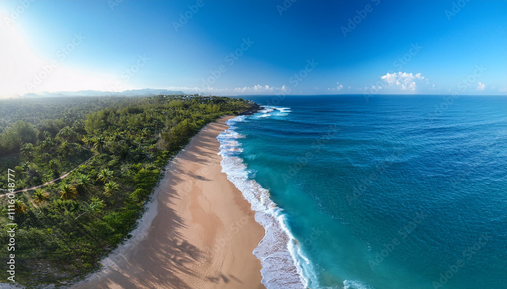 Stunning Drone Photography of Blue Ocean, Golden Beach, and Forest Stunning Drone Photography of Blue Ocean, Golden Beach, and Forest