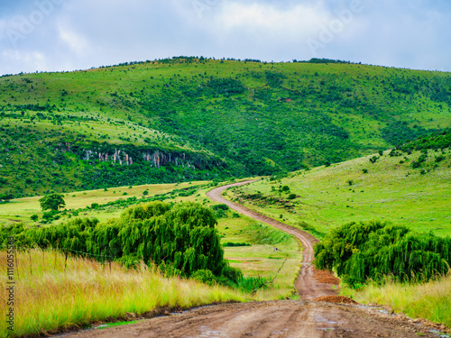 Lush valley and rolling hills in Wakkerstroom with a winding 4x4 road, Mpumalanga, South Africa photo