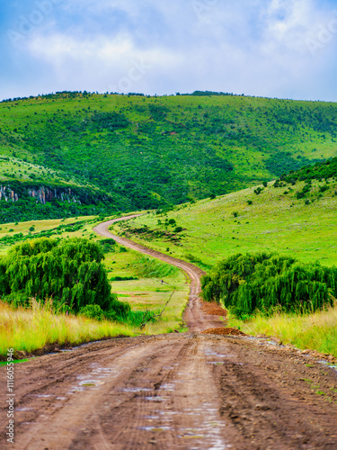 Vertical view of a winding 4x4 road through the lush valley and rolling hills in Wakkerstroom, Mpumalanga, South Africa photo