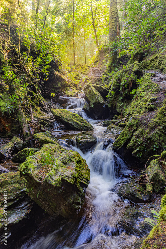 Pucks Glen gorge trail, Dunoon, Cowal peninsula, Argyll and Bute, Scotland Pucks Glen gorge trail, Dunoon, Cowal peninsula, Argyll and Bute, Scotland