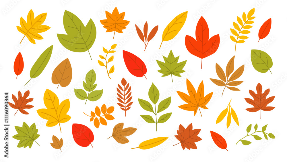 Obraz premium Colorful autumn leaves various shapes. Fall foliage illustration with leaves in red, orange, yellow, and green