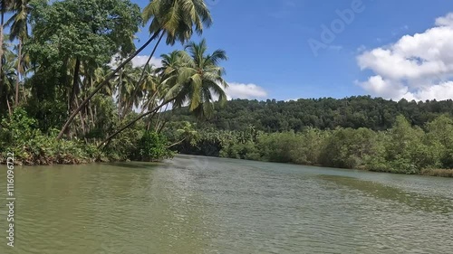 Beautiful Backwaters Boating just sit relax and enjoy the boat ride with coconut trees on both the sides at Honnavar, Gokarna, Karnataka, India photo