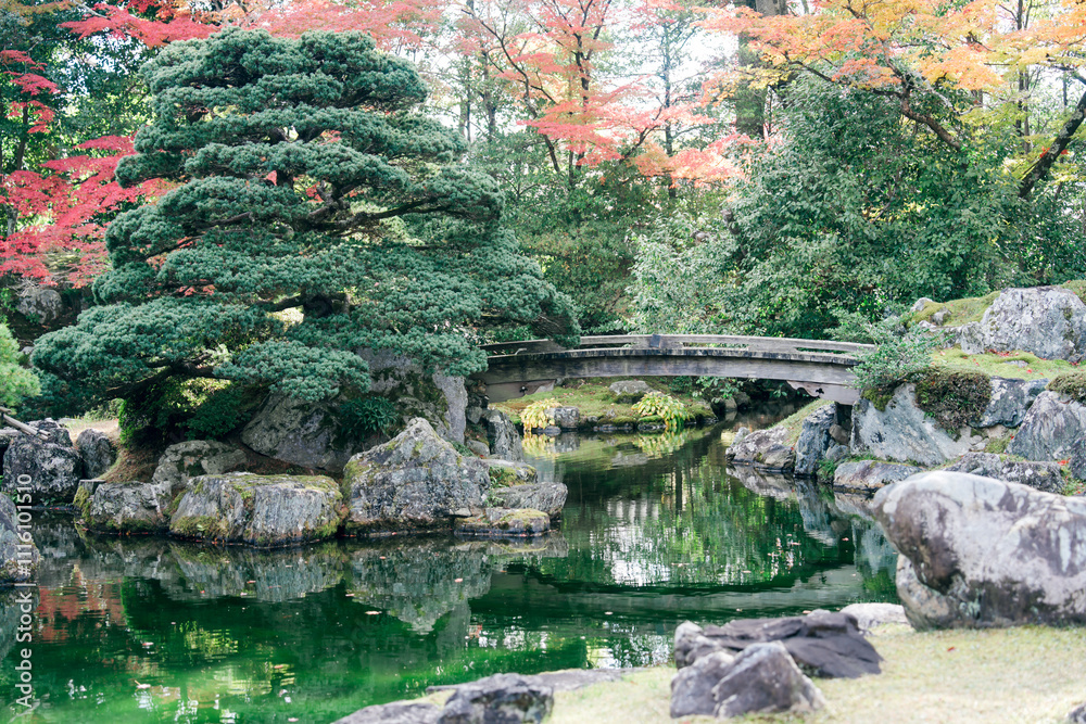 Naklejka premium 京都の醍醐寺の紅葉