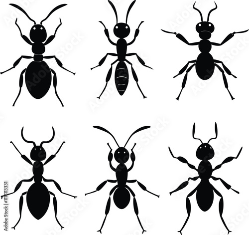 Black Silhouette of an Ant Set Crawling on White Background