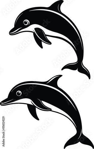 dolphin illustration