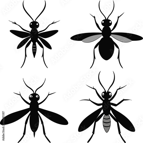 Black Silhouette of a Mosquito in Flight on White Background