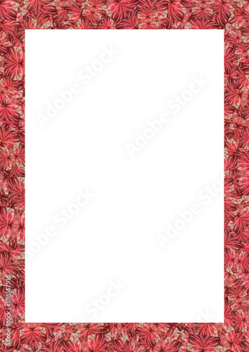 Blank frame with red flowers collage borders