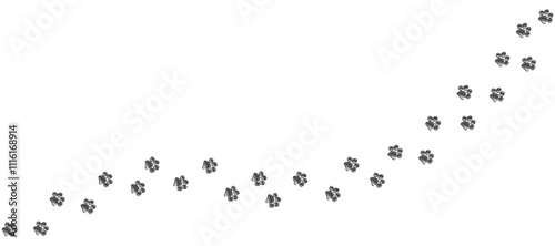 Pencil hand drawn dog track...