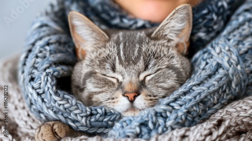 A cozy cat sleeping peacefully in a knitted scarf.