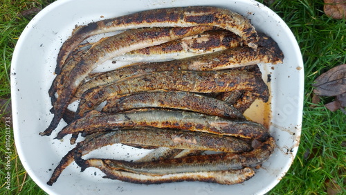 Fried lampreys on a plate and in a dish. Latvian lamprey recipes photo