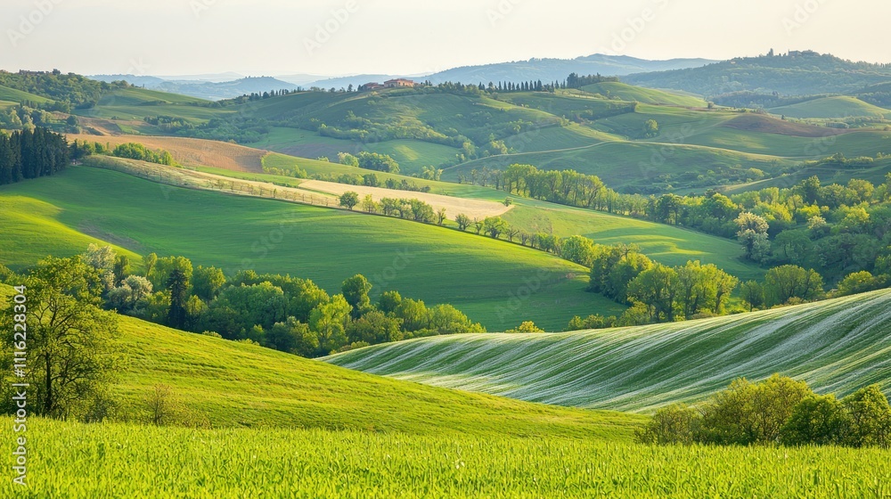 Fototapeta premium A peaceful rural area with rolling hills and farmland