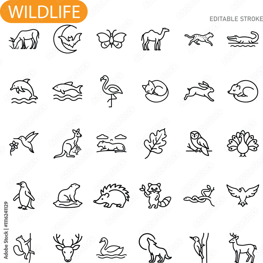 Obraz premium Wildlife Animal Icons Diverse Fauna Line Art Graphic Set