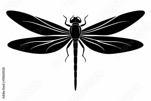 dragonfly silhouette vector illustration silhouette of Dragonfly, filled with space and sci-fi element in rough drawing.